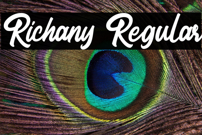 Richany Regular Example 3