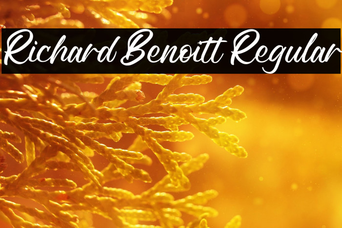 Richard Benoitt Regular Example 1