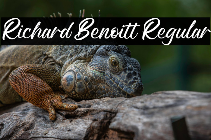 Richard Benoitt Regular Example 2