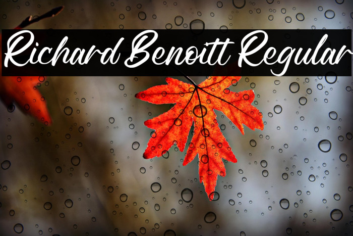 Richard Benoitt Regular Example 3