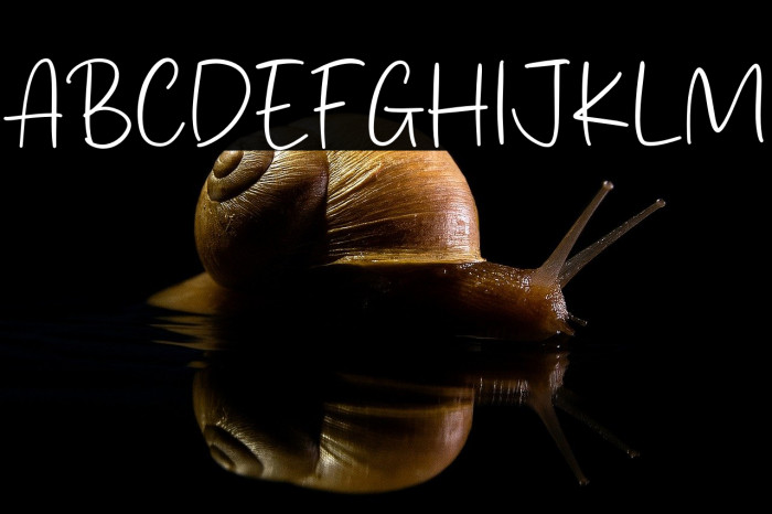 Richard Gerald Example 3