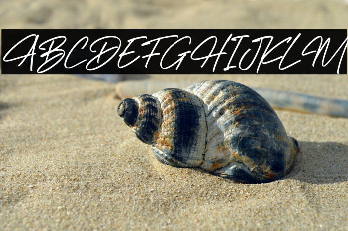 Richard Hamilton Italic Example 2