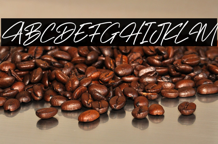 Richard Hamilton Italic Example 3