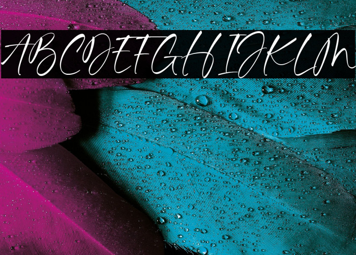 Richard Hampton Example 1