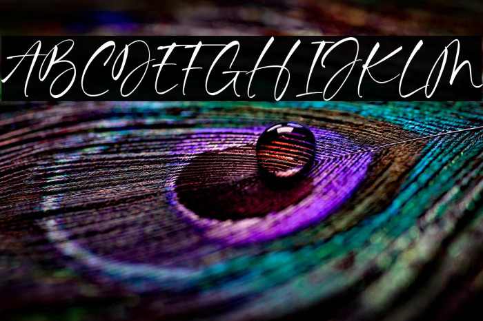 Richard Hampton Example 3