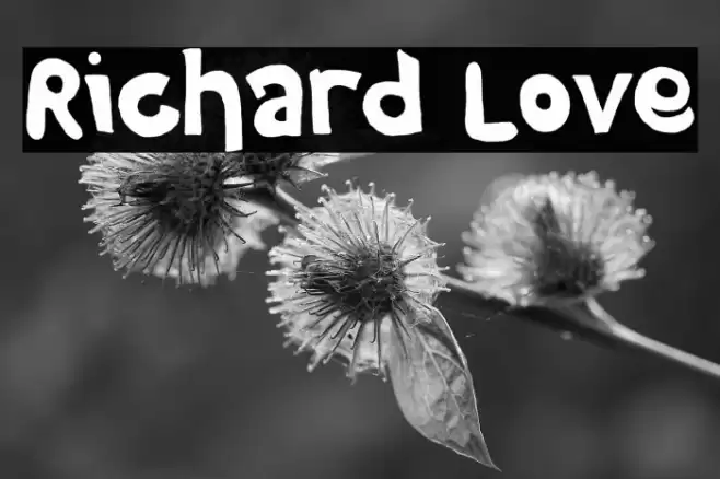 Richard Love Font examples