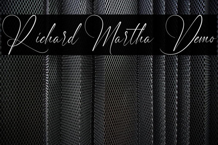 Richard Martha Demo Example 2