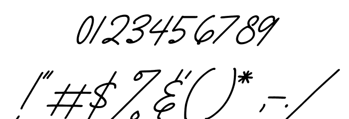 Richard Signatera Italic Font OTHER CHARS