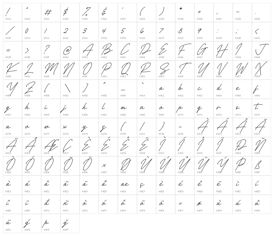 Richard Signatera Italic Character Map