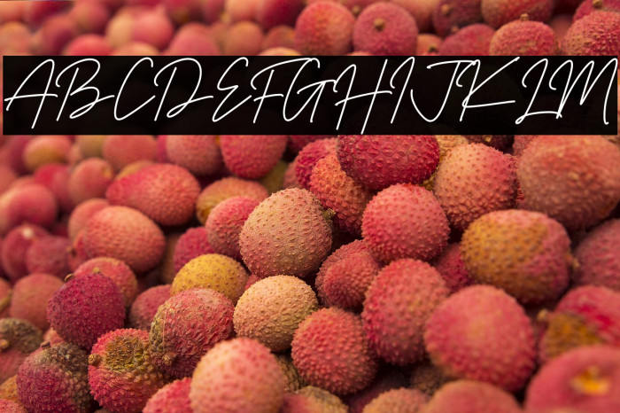 Richard Signatera Example 1