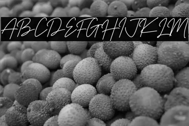 Richard Signatera Font examples