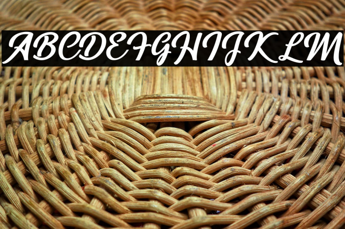 Richardine Example 1