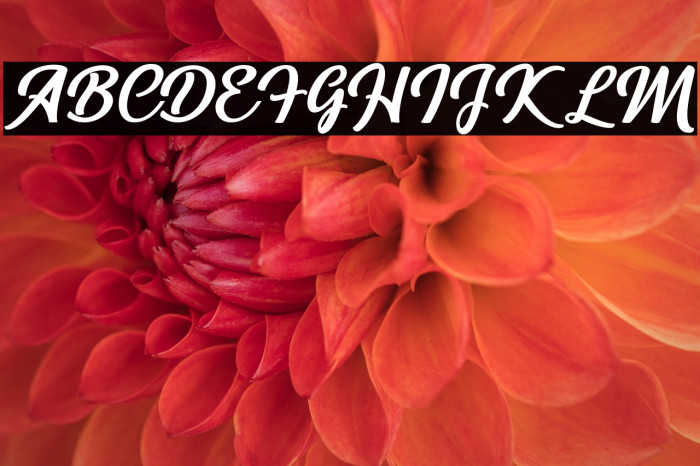 Richardine Example 3