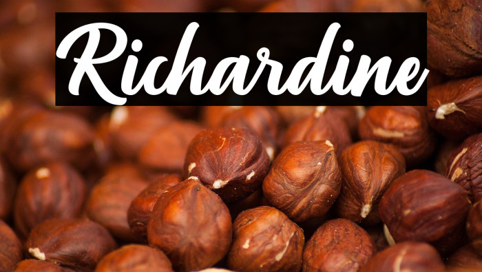 Richardine Example 1