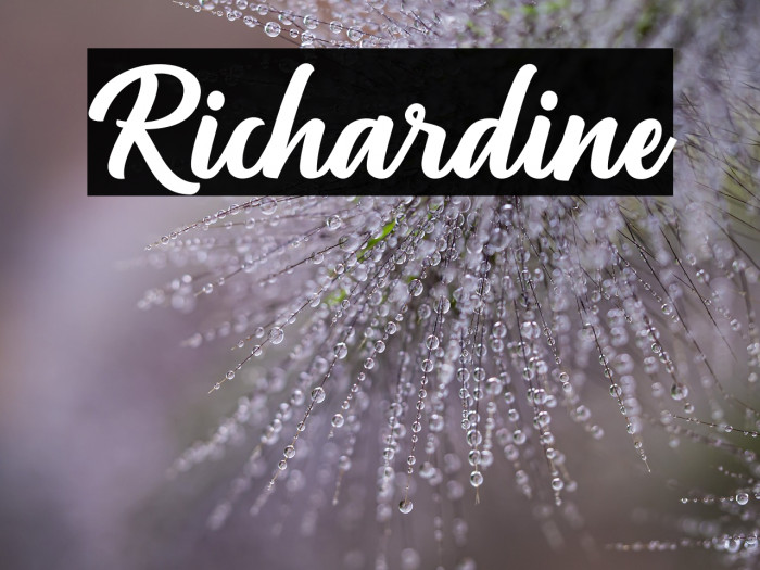 Richardine Example 2