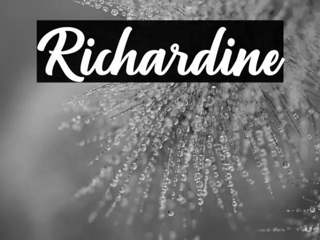 Richardine Font examples
