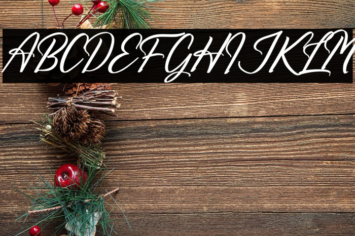 Richards Frederick Italic Example 1