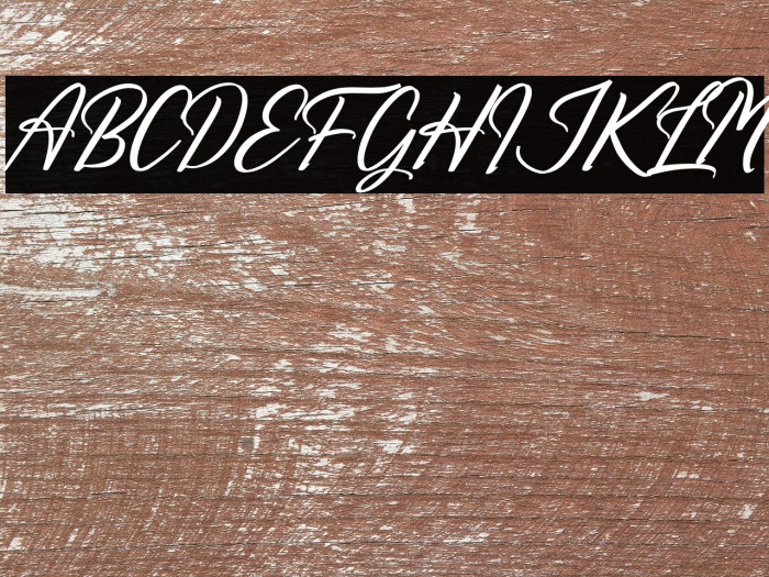 Richards Frederick Italic Example 2