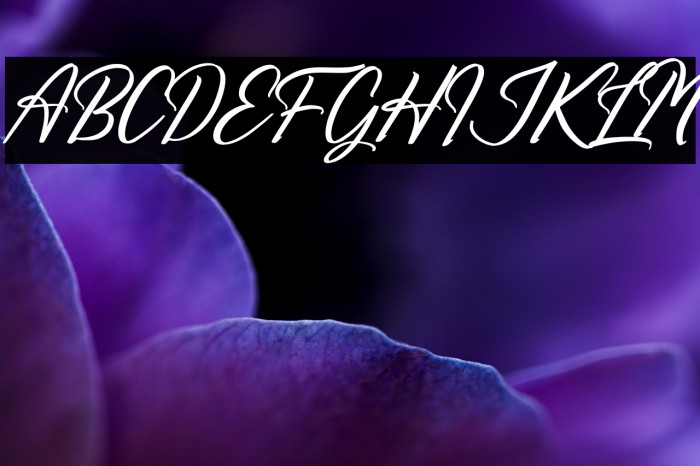 Richards Frederick Italic Example 3