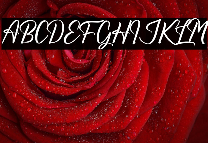 Richards Frederick Example 2