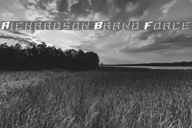 Richardson Brand Force Font examples