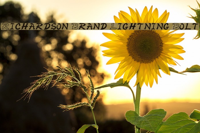 Richardson Brand Lightning Bolt Font examples