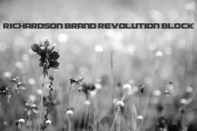Richardson Brand Revolution Block Font examples