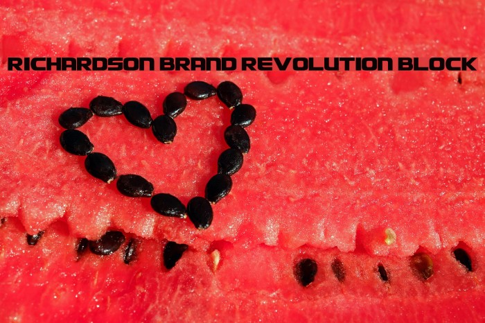 Richardson Brand Revolution Block Example 2