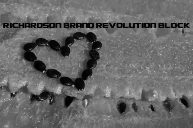 Richardson Brand Revolution Block Font examples