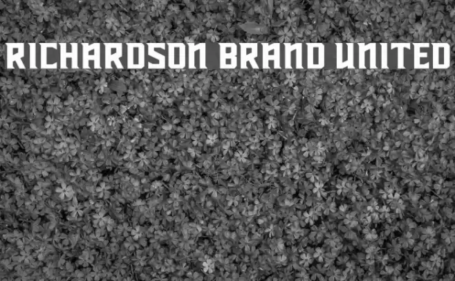 Richardson Brand United Font examples