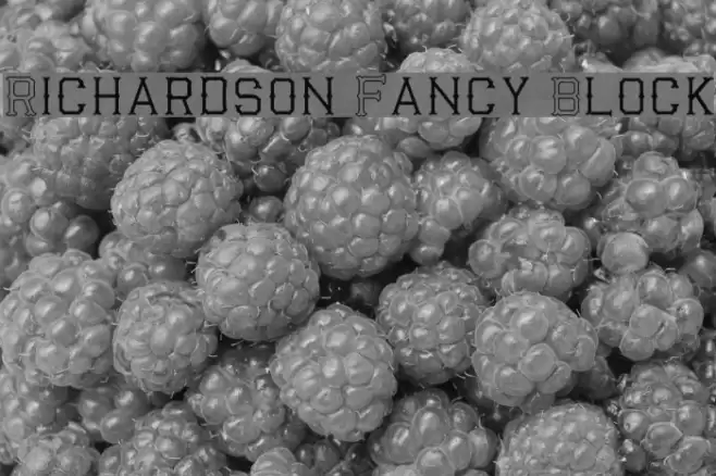 Richardson Fancy Block Font examples