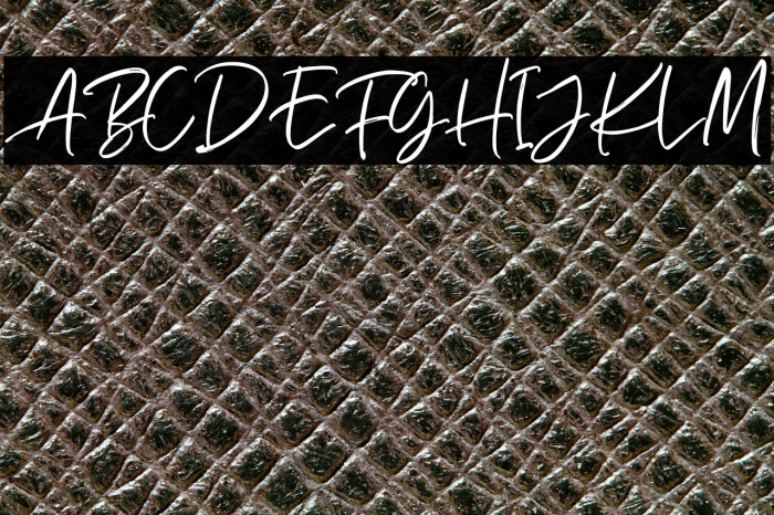 RichardsonScriptDEMO Example 1