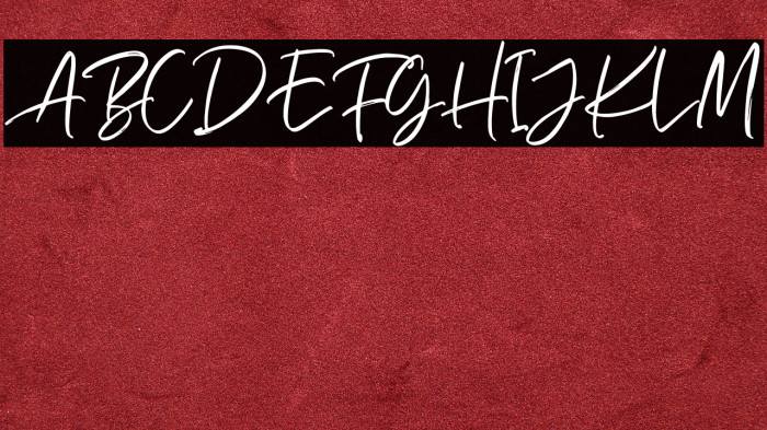 RichardsonScriptDEMO Example 2