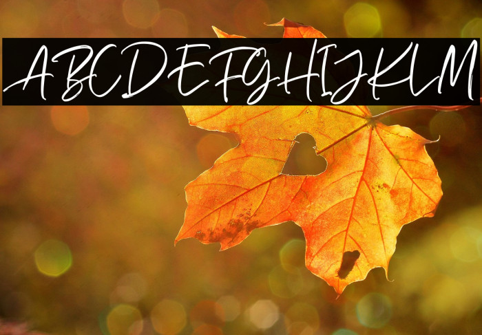 RichardsonScriptDEMO Example 3