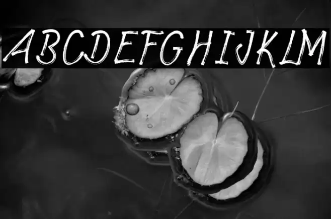 Richat Font examples