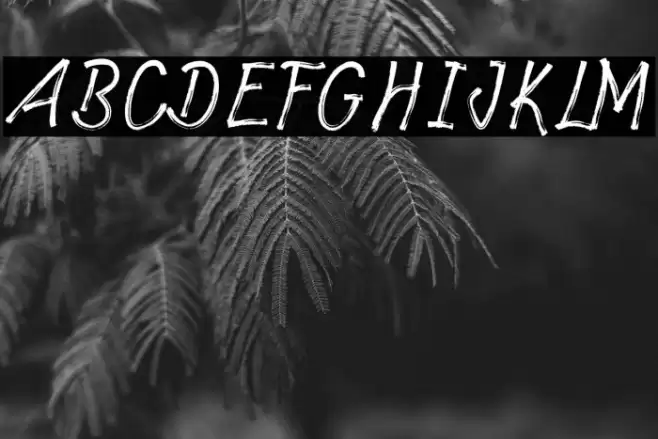 Richat Font examples