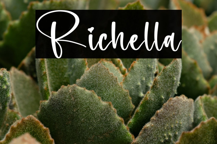 Richella Example 1