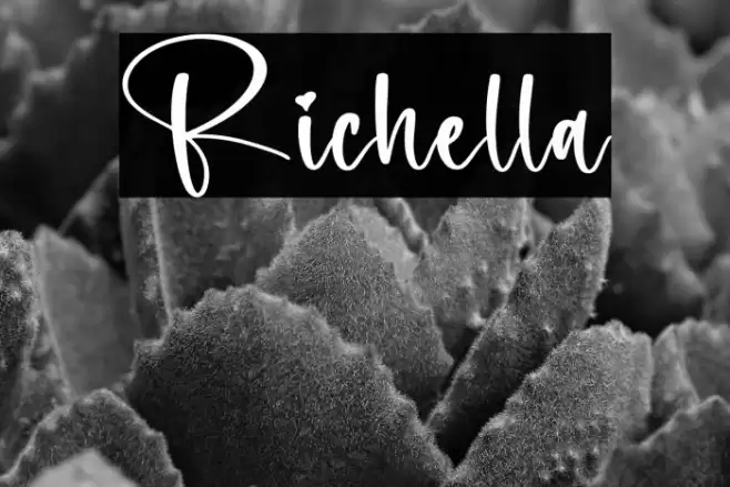 Richella Font examples