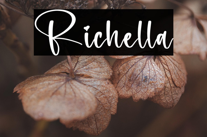 Richella Example 2