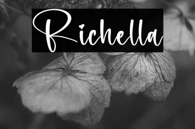 Richella Font examples