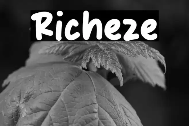Richeze Font examples