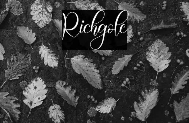 Richgole Font examples