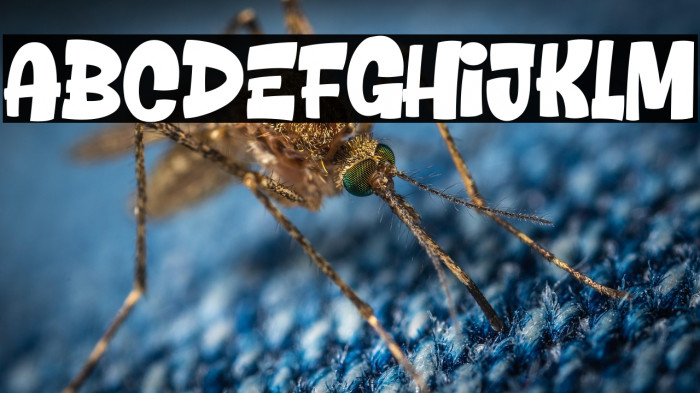 Richis Stiller Example 1