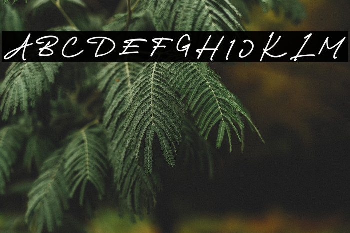 Richland-Regular Example 2