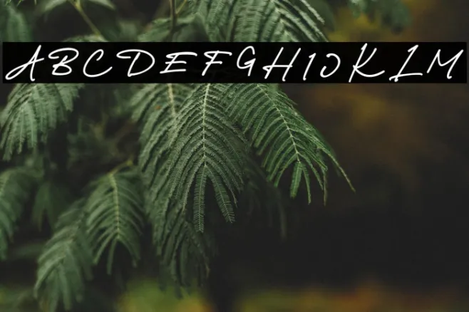 Richland-Regular Example 2