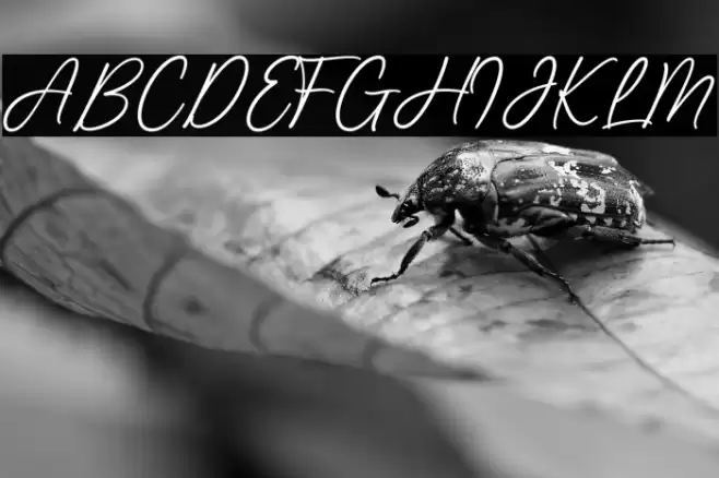 Richmond Regular Font examples