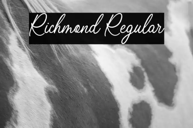 Richmond Regular Font examples