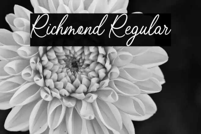 Richmond Regular Font examples