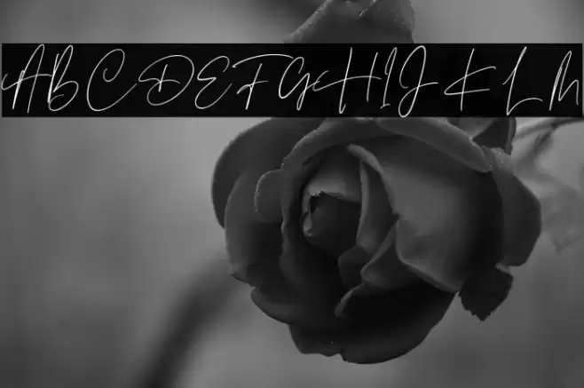 Richmond Font examples