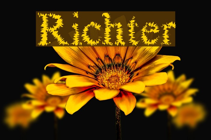 Richter Font examples